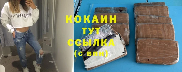 спиды Няндома