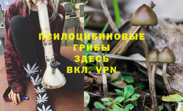 дурь Нязепетровск