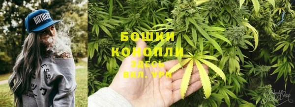 спиды Няндома