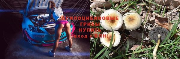 дурь Нязепетровск