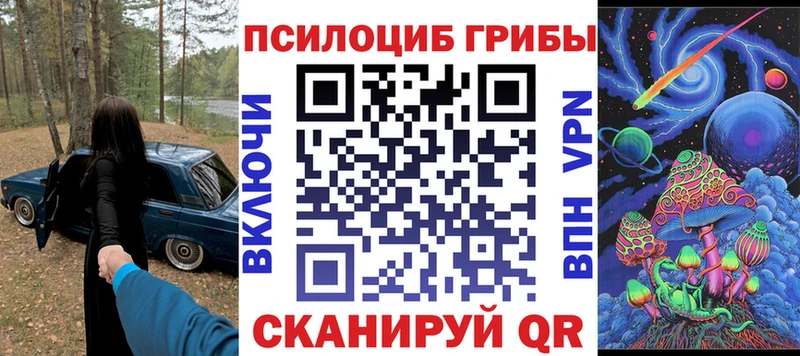 Купить  Игарка  Псилоцибиновые грибы Psilocybine cubensis 